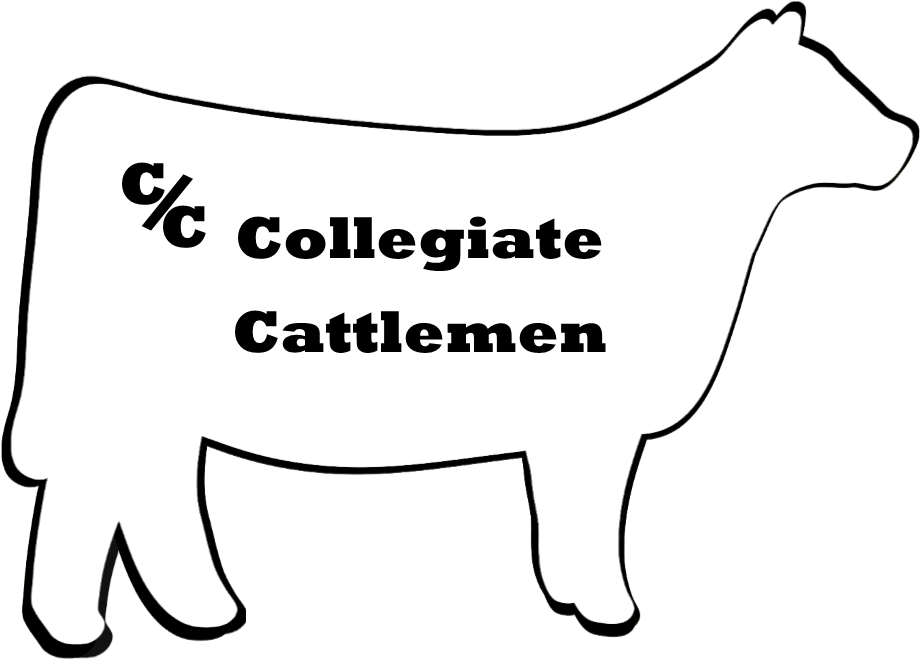 Collegiate Cattlemen Header