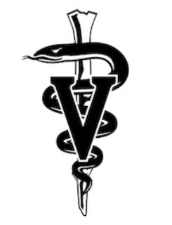 College of Veterinary Medicine Class of 2023 Header