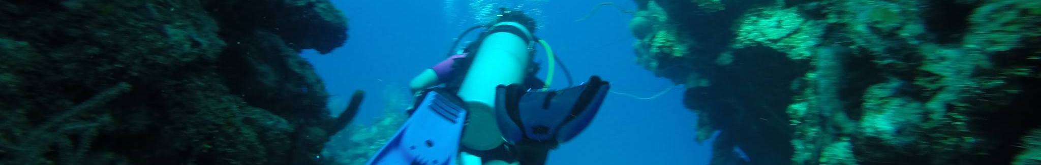 SCUBA Diving & Snorkeling Club Header