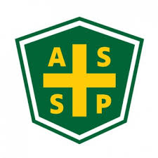 American Society of Safety Professionals Header