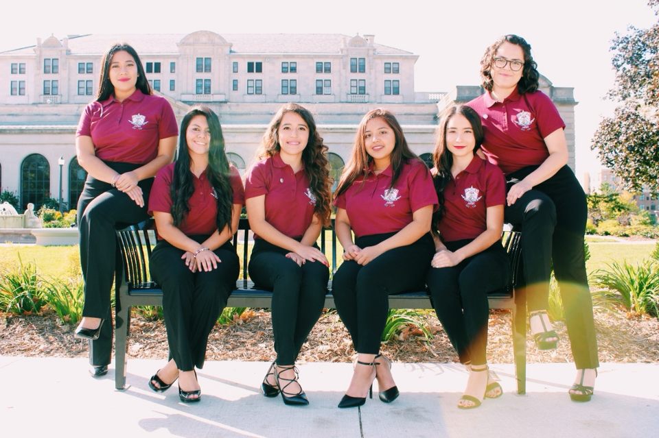 Lambda Theta Nu Sorority, Incorporated  Header